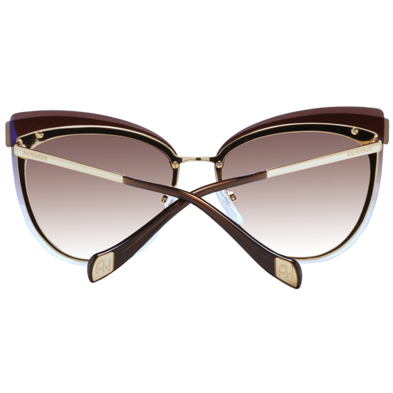 Solglasögon Ana Hickmann Sunglasses AH3178 04C 66