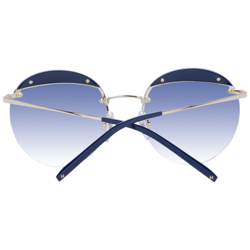 Solglasögon Ana Hickmann Sunglasses HI3110 D01 54